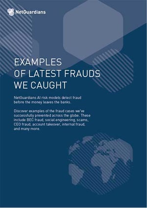 ng-cover-fraud-cases@2x ng-cover-fraud-cases@2x