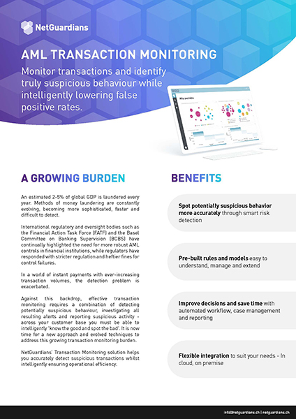 Form – Solution Brief AML Transaction Monitoring