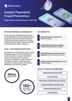 ng-cover-solution-brief-instant-payments-01
