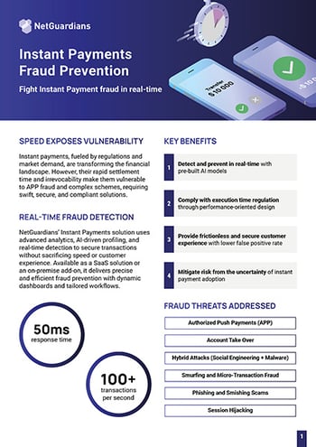 ng-cover-solution-brief-instant-payments-01