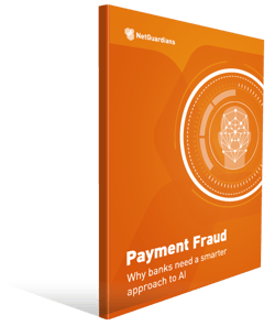 ng-cover-wp-enterprise-payment-fraud