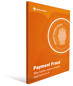 ng-cover-wp-enterprise-payment-fraud ng-cover-wp-enterprise-payment-fraud
