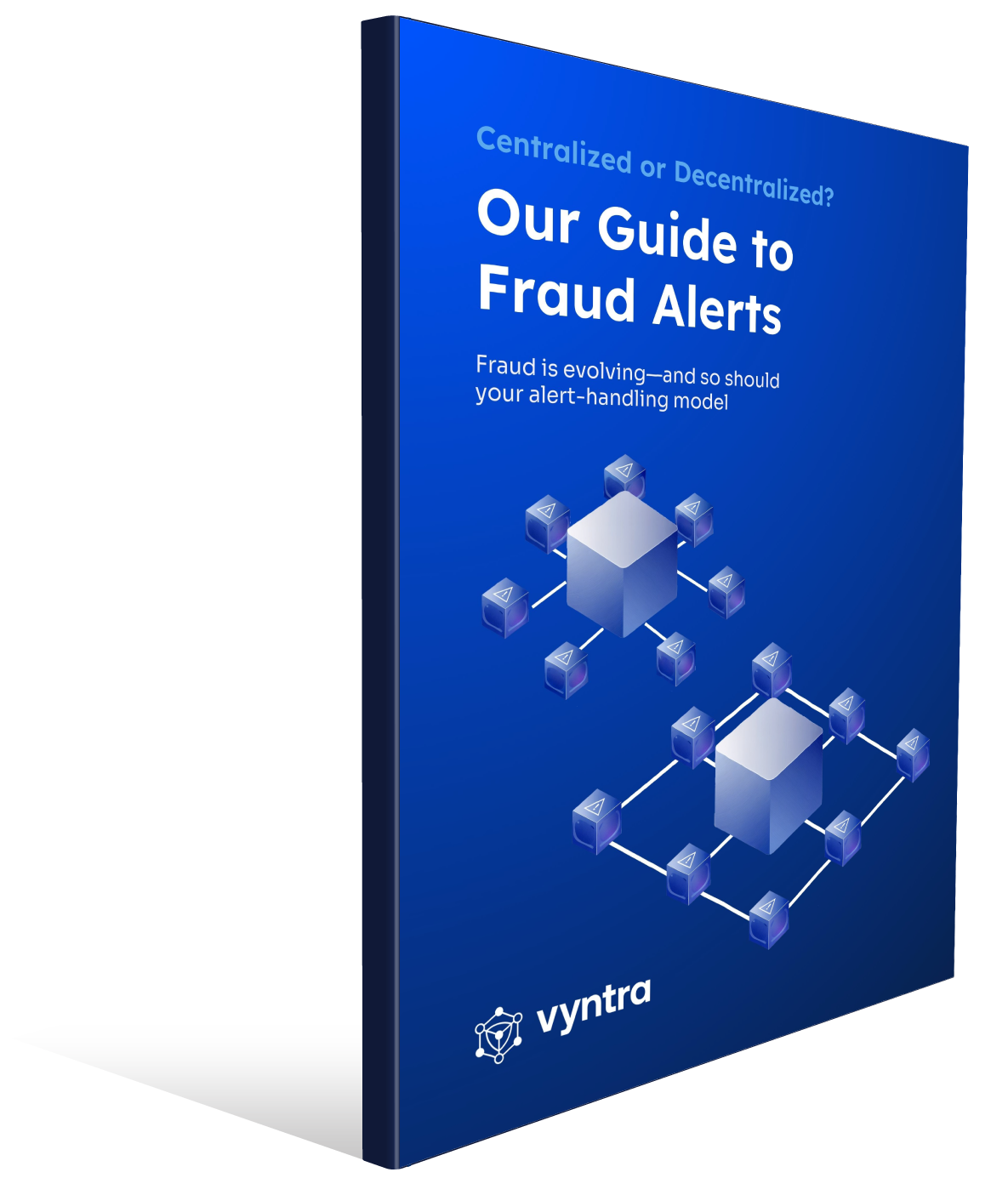 Vyntra-Fraud-Management-3D-Cover Vyntra-Fraud-Management-3D-Cover